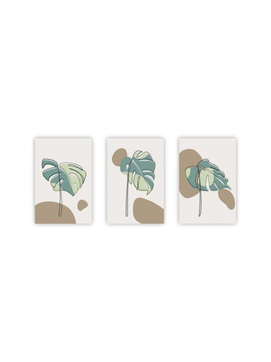 Palma set 3